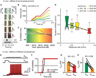 A Temporal Filter for Binaural Hearing Is Dynamically Adjusted by Sound Pressure Level